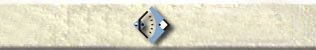 Logo du CNEFEI