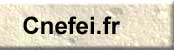 Se connecter au site internet du Cnefei